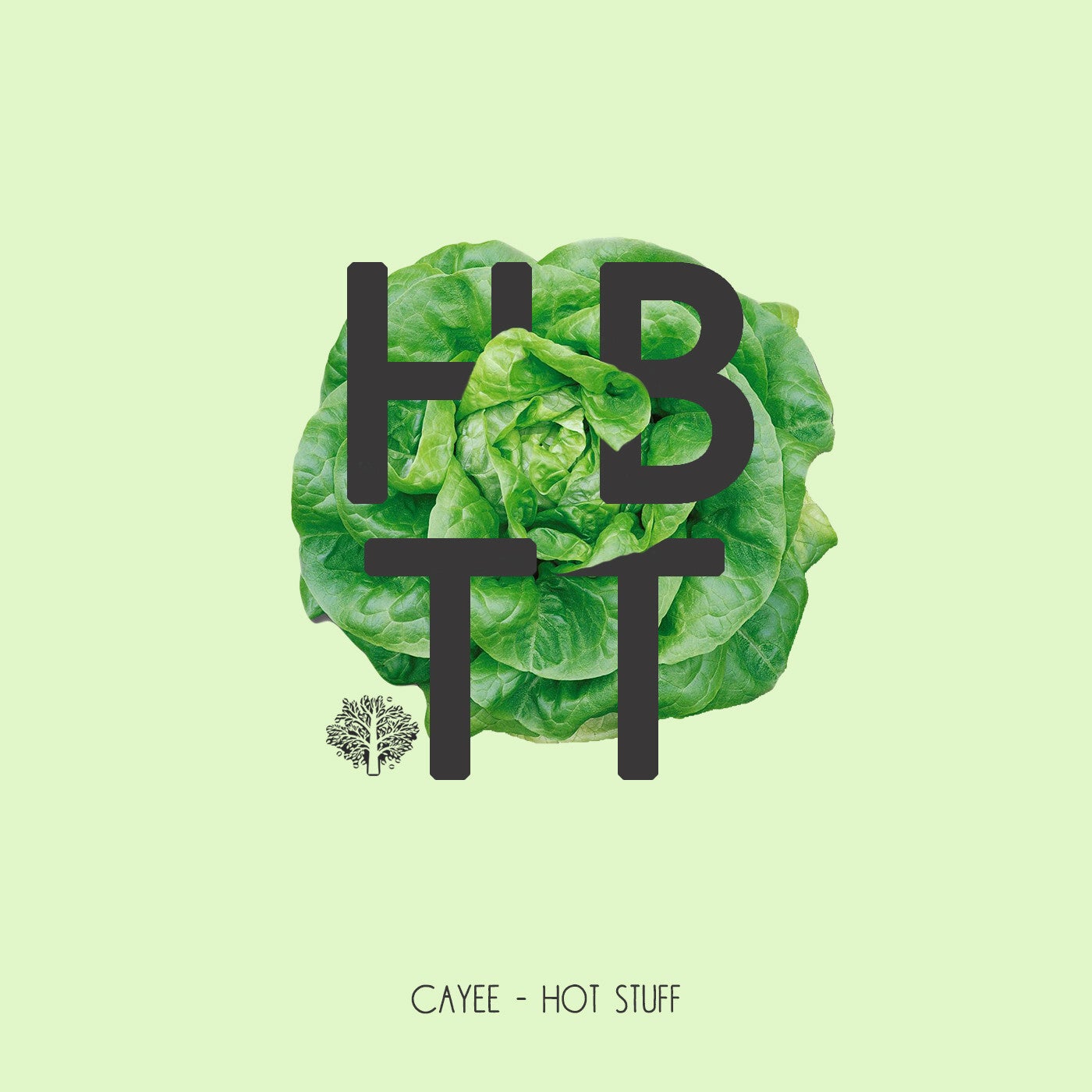 Cayee – Hot Stuff [HBT342]